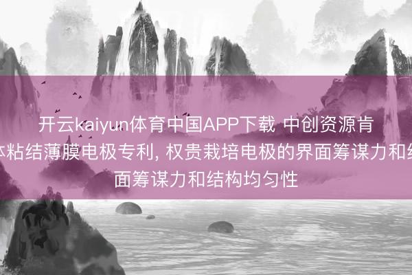 开云kaiyun体育中国APP下载 中创资源肯求干法粉体粘结薄膜电极专利， 权贵栽培电极的界面筹谋力和结构均匀性