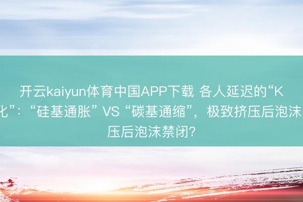 开云kaiyun体育中国APP下载 各人延迟的“K型分化”：“硅基通胀” VS “碳基通缩”，极致挤压后泡沫禁闭？