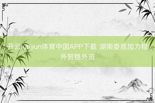 开云kaiyun体育中国APP下载 湖南娄底加力稳外贸稳外资