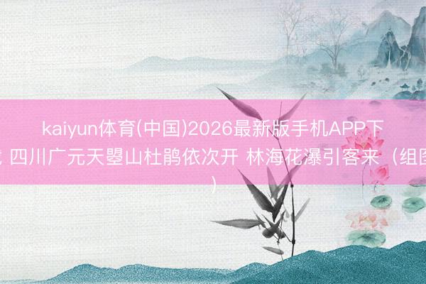 kaiyun体育(中国)2026最新版手机APP下载 四川广元天曌山杜鹃依次开 林海花瀑引客来（组图）